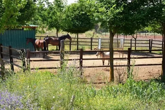 Finca La Carraca Archidona Villa